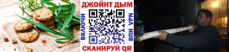 darknet какой сайт  Железногорск-Илимский  Canna-Cookies конопля  дарнет шоп 