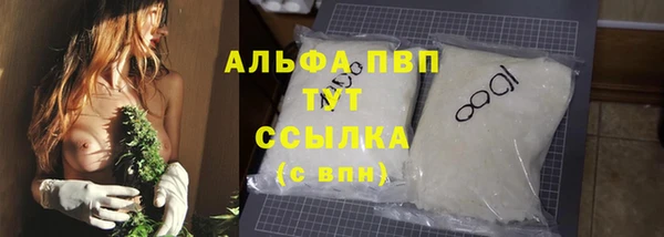 прущие крисы Пересвет